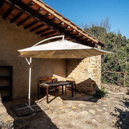 Agriturismo Santa Caterina Кастельнуово-ді-Валь-ді-Чечина Екстер'єр фото