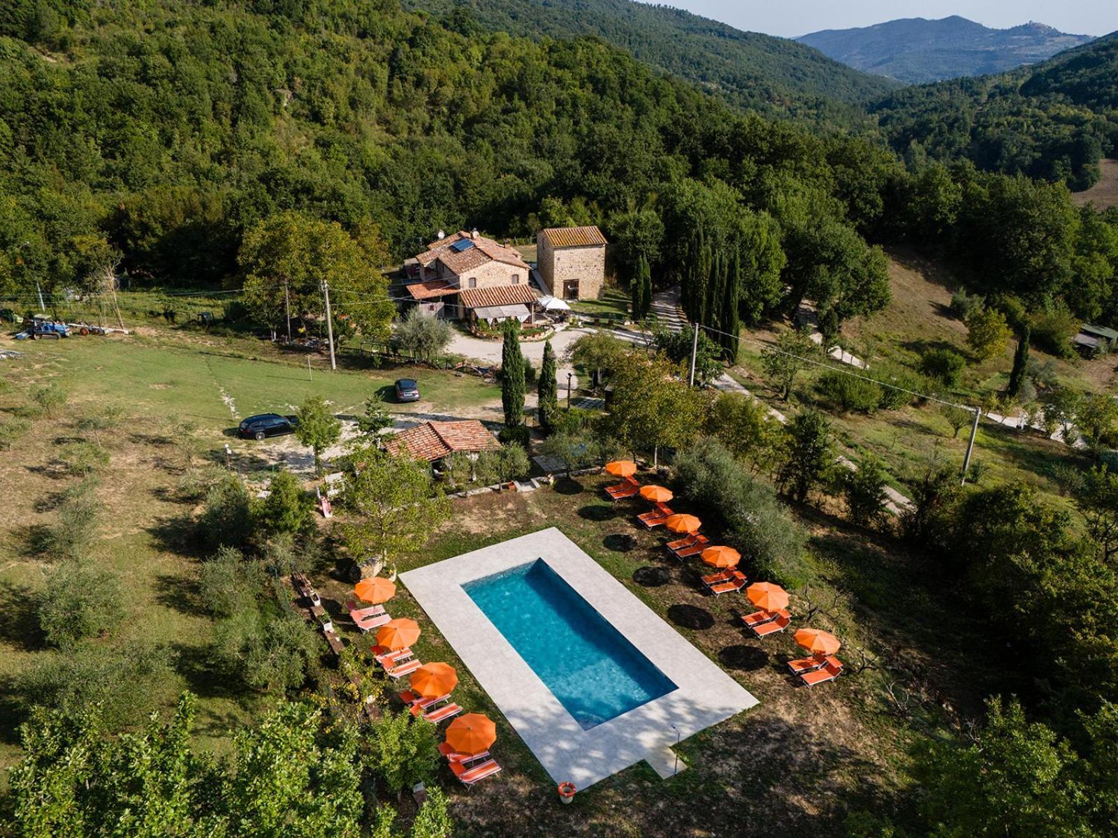 Agriturismo Santa Caterina Кастельнуово-ді-Валь-ді-Чечина Екстер'єр фото