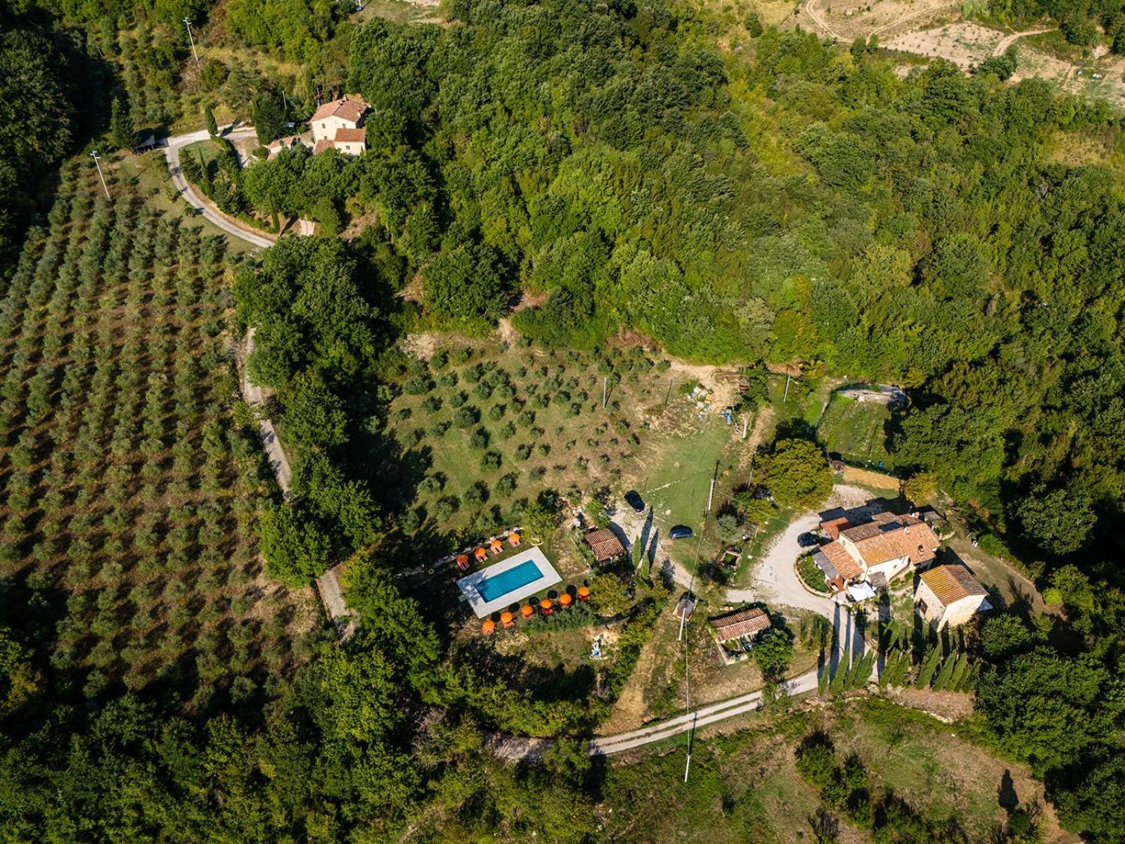 Agriturismo Santa Caterina Кастельнуово-ді-Валь-ді-Чечина Екстер'єр фото