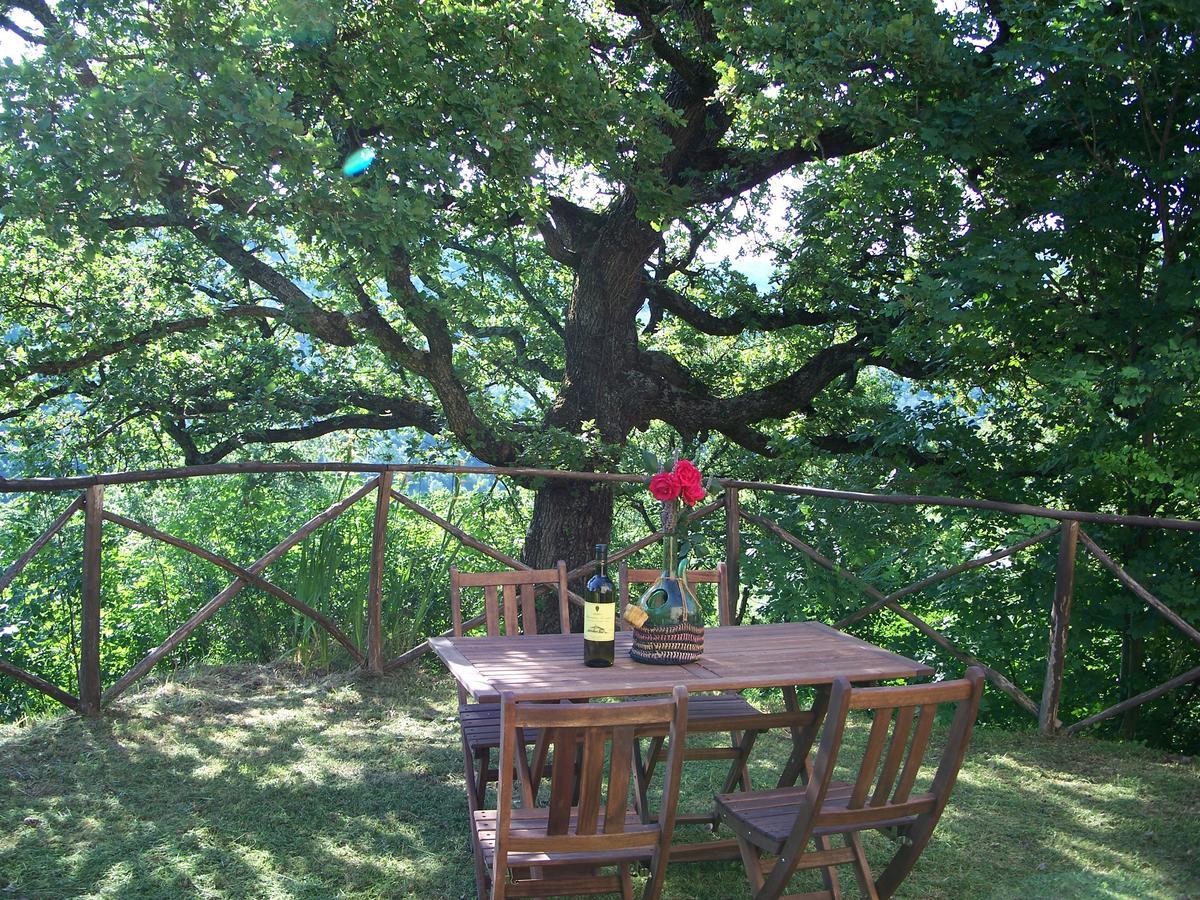Agriturismo Santa Caterina Кастельнуово-ді-Валь-ді-Чечина Екстер'єр фото