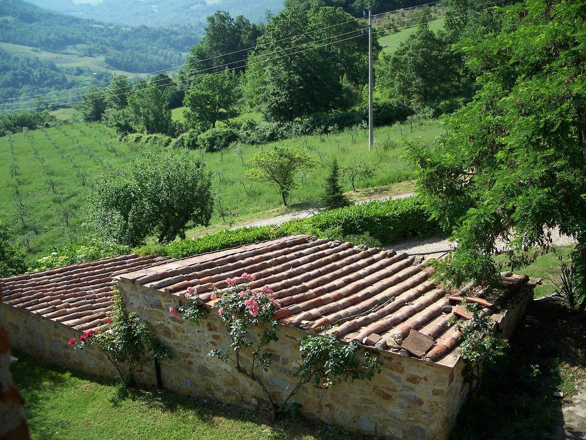 Agriturismo Santa Caterina Кастельнуово-ді-Валь-ді-Чечина Екстер'єр фото