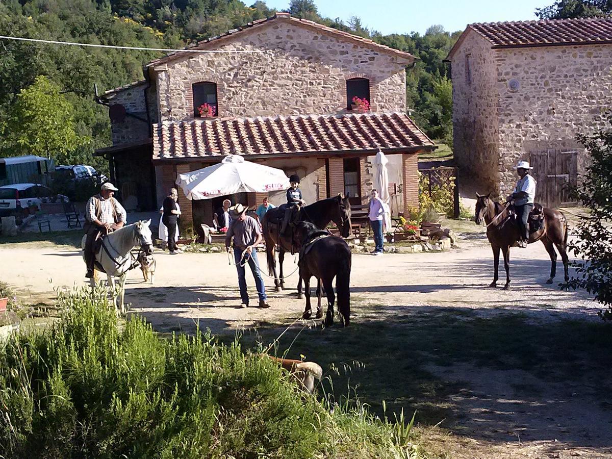 Agriturismo Santa Caterina Кастельнуово-ді-Валь-ді-Чечина Екстер'єр фото